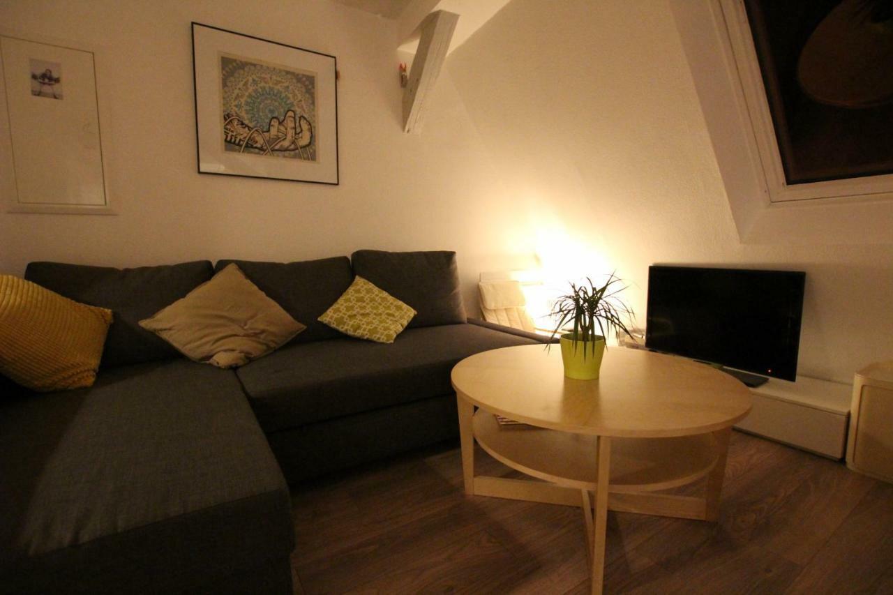 Colmar City Center - Appartement Belle-Vue 4 Etoiles Buitenkant foto