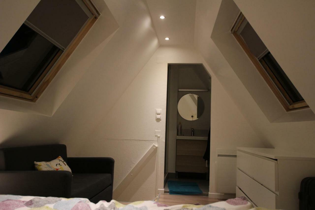 Colmar City Center - Appartement Belle-Vue 4 Etoiles Buitenkant foto